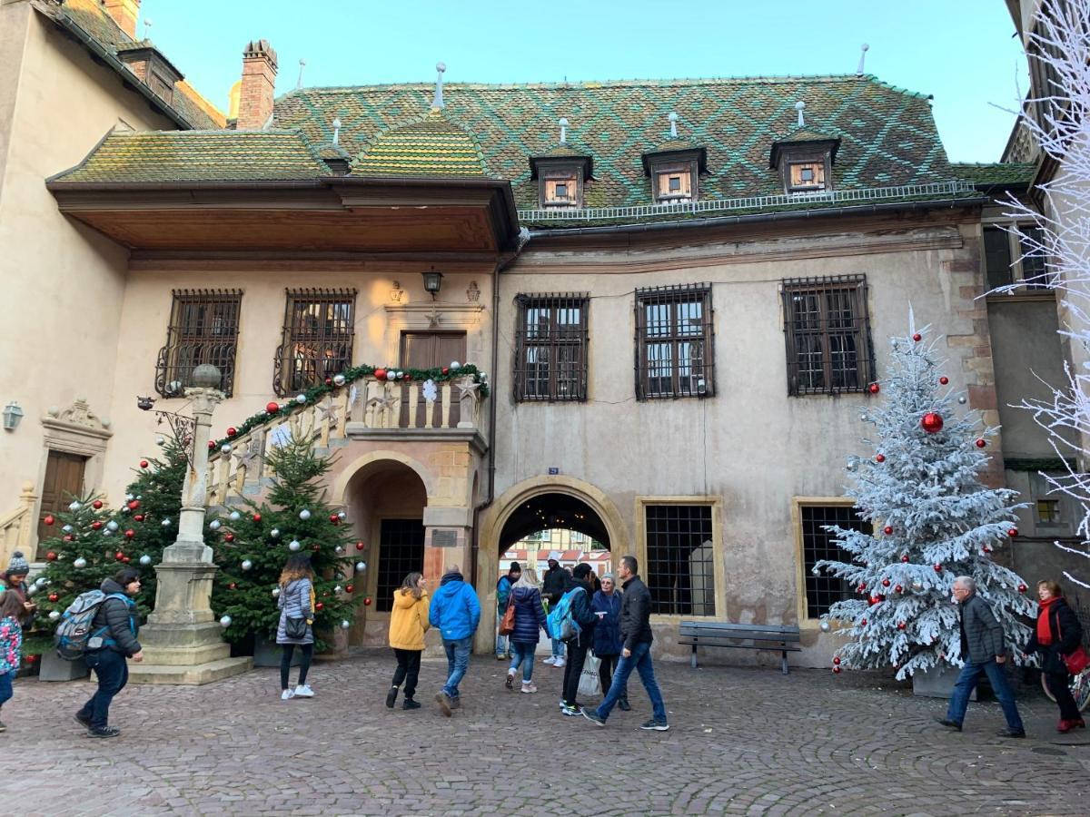 Historical Town Center Cosy Flat Apartment Colmar Bagian luar foto