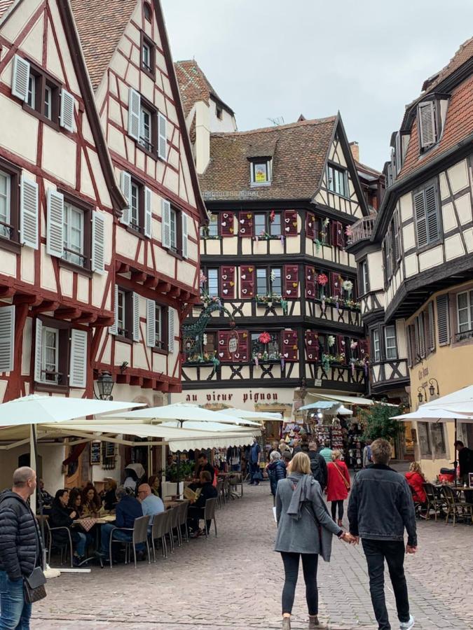 Historical Town Center Cosy Flat Apartment Colmar Bagian luar foto
