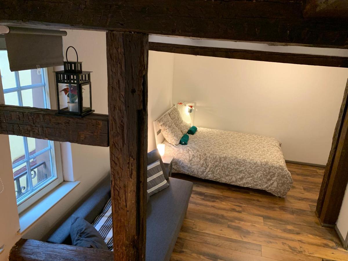 Historical Town Center Cosy Flat Apartment Colmar Bagian luar foto
